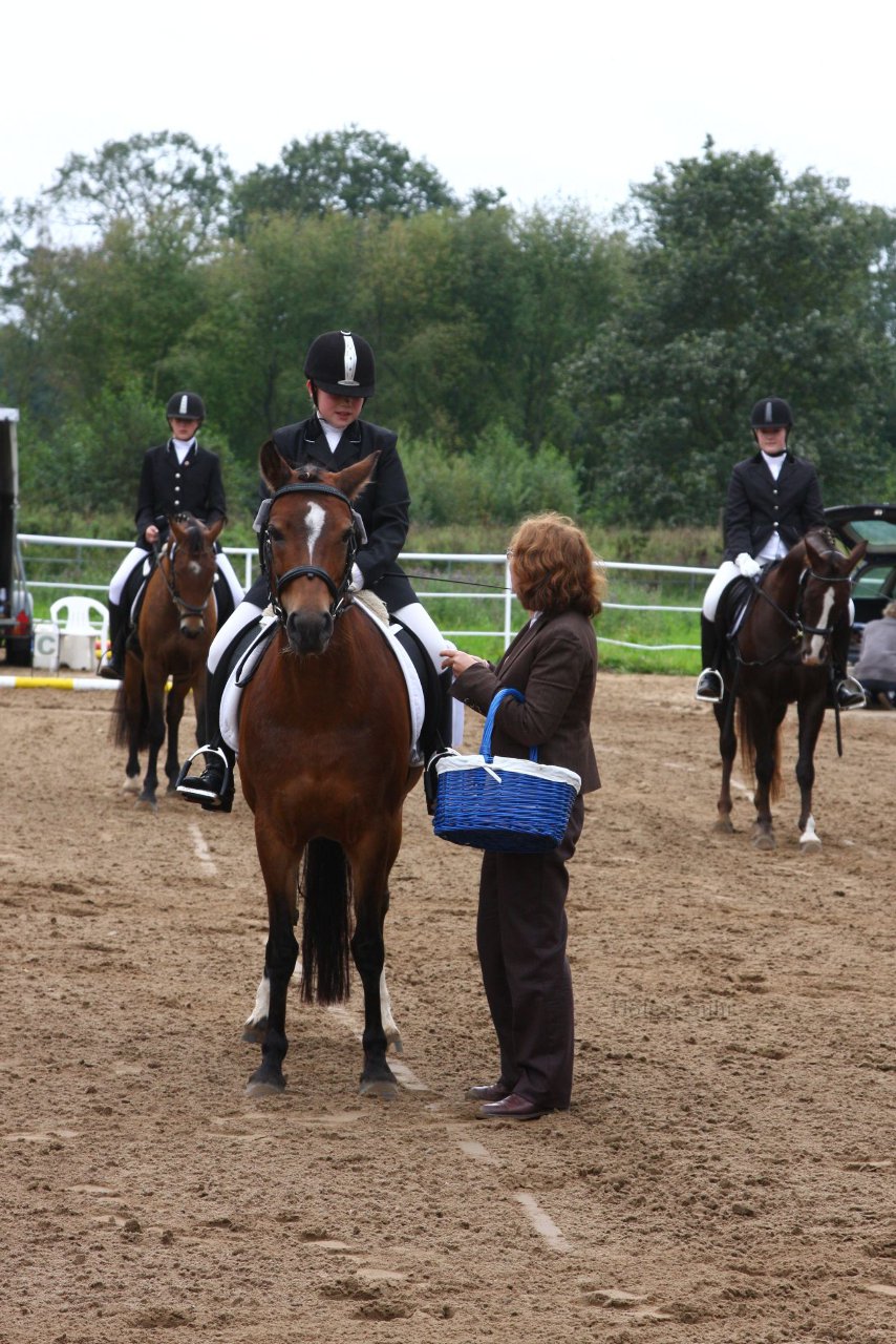 Bild 929 - WBO-Turnier am 18.9.11